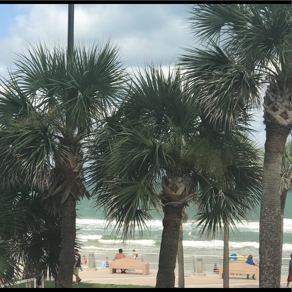 Meet your Posher, Heather - Picture 3 of 3